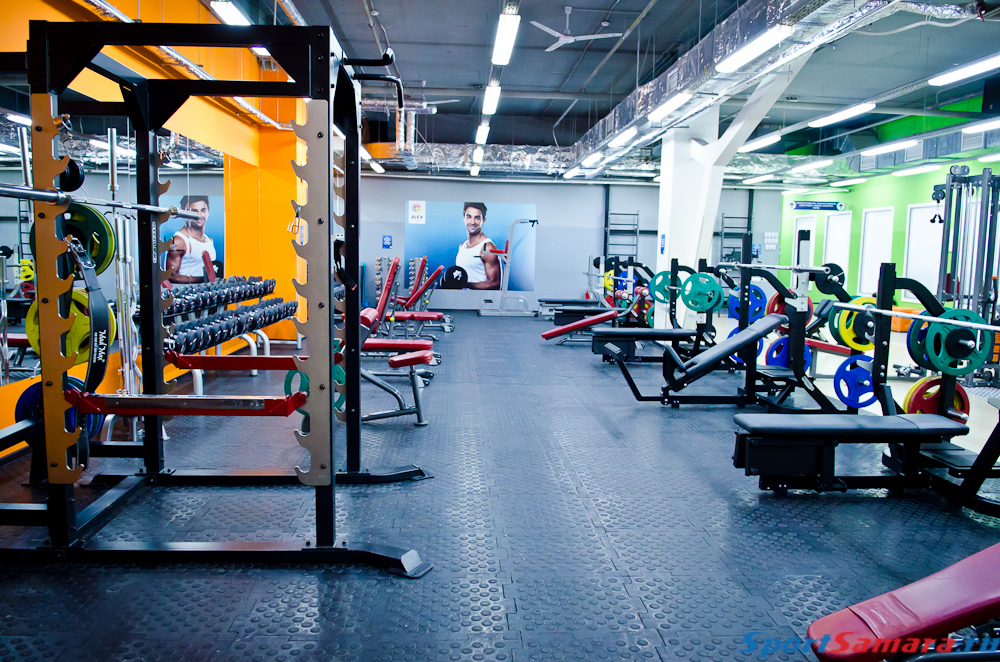 Alex fitness москва