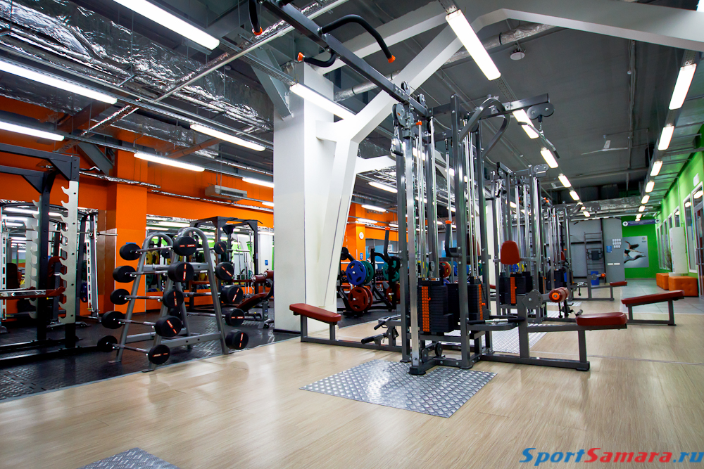 Alex fitness москва