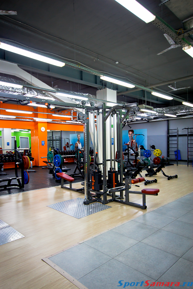 Alex fitness москва