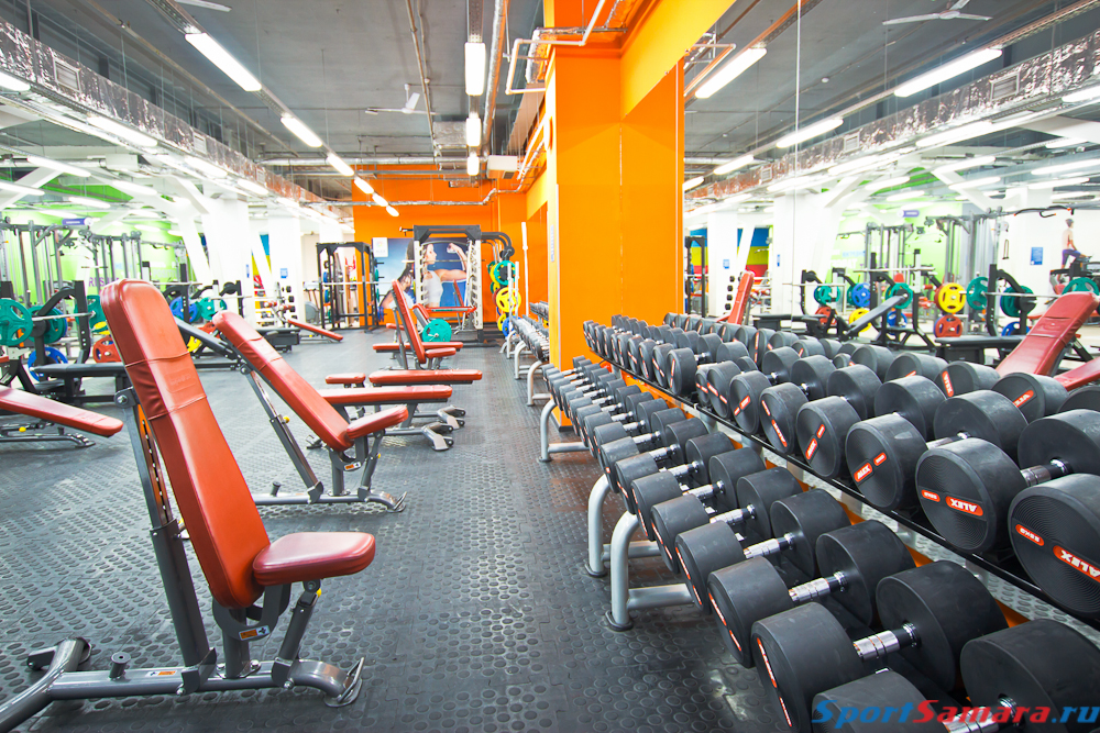 Alex fitness москва