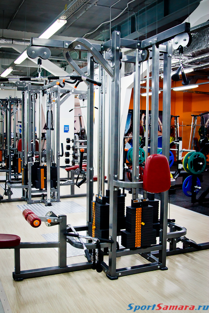 Alex fitness волгоград