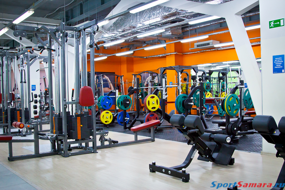 Alex fitness москва