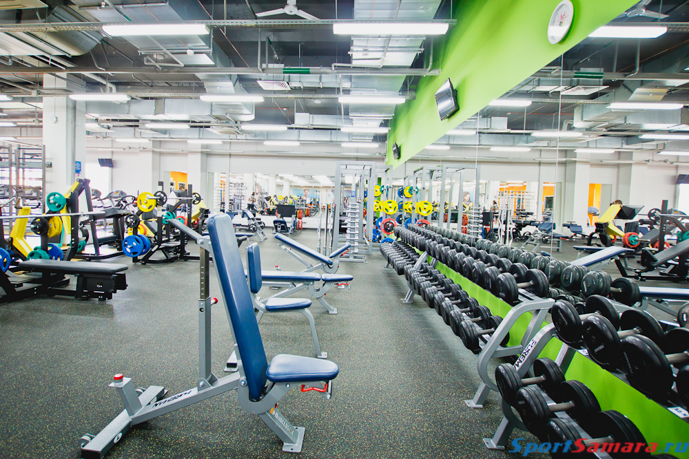 Alex fitness москва