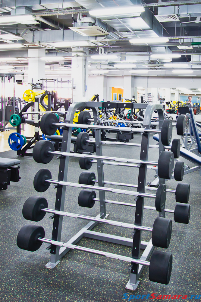 Alex fitness москва